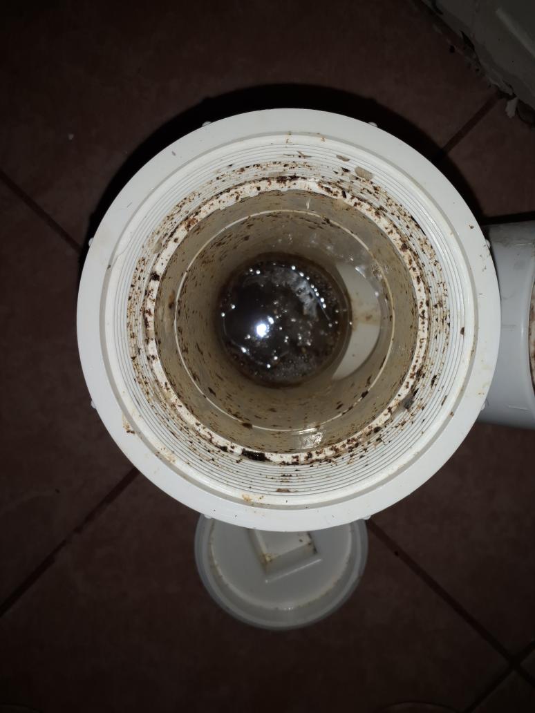 Plumbing Repair by Wildcat Plumbing